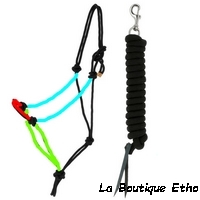 licol éthologique