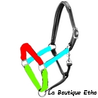licol éthologique